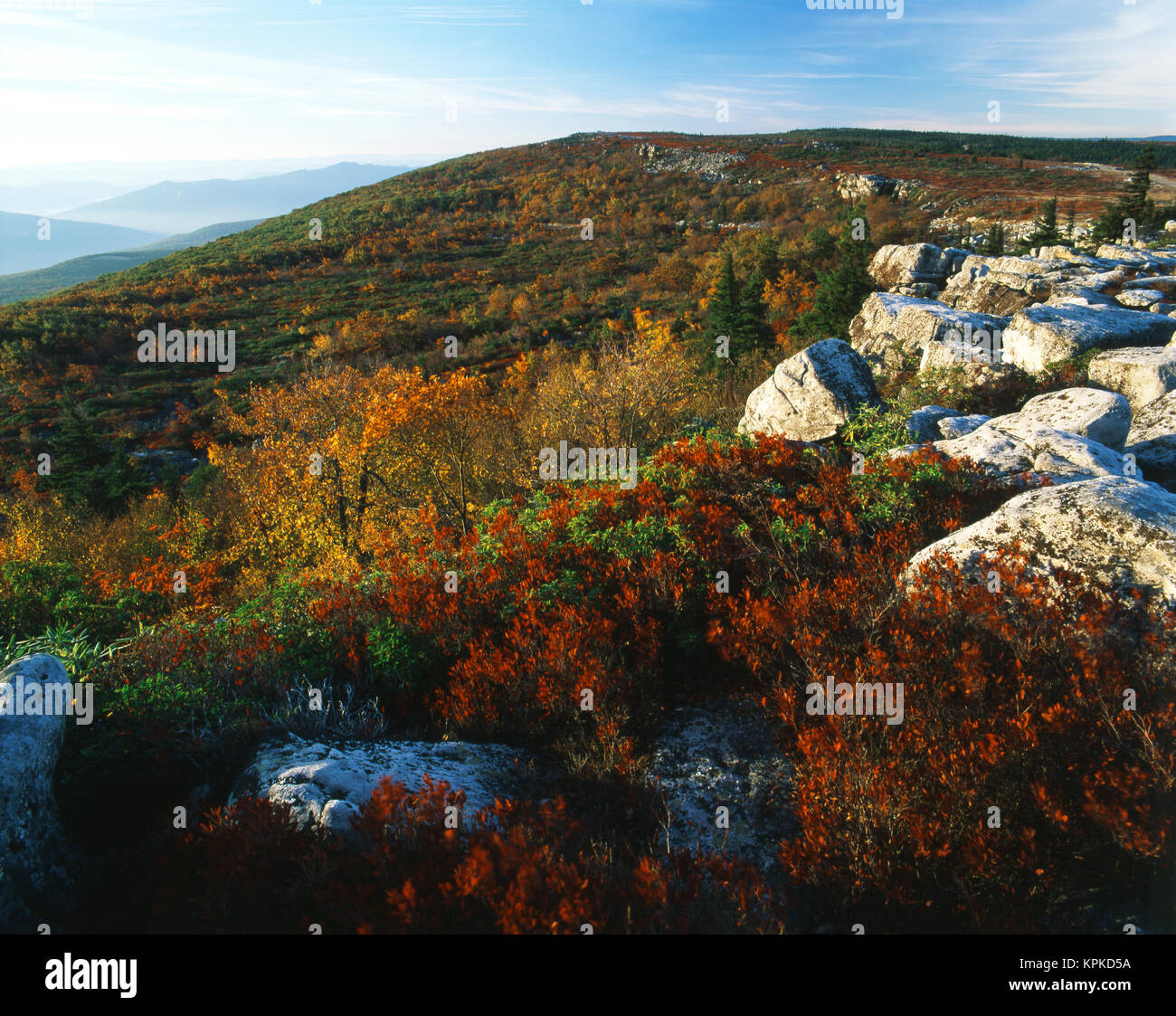 Stati Uniti d'America, West Virginia, Monongahela National Forest, sopportare le rocce in Dolly zolle Wilderness Area (formato di grandi dimensioni disponibili) Foto Stock