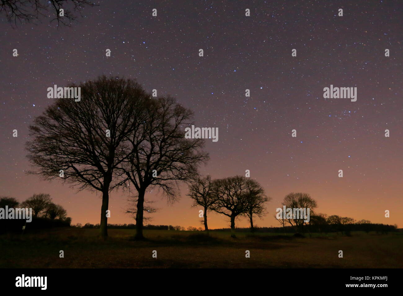 Il cielo di notte in Dicembre da Hampshire Inghilterra Foto Stock