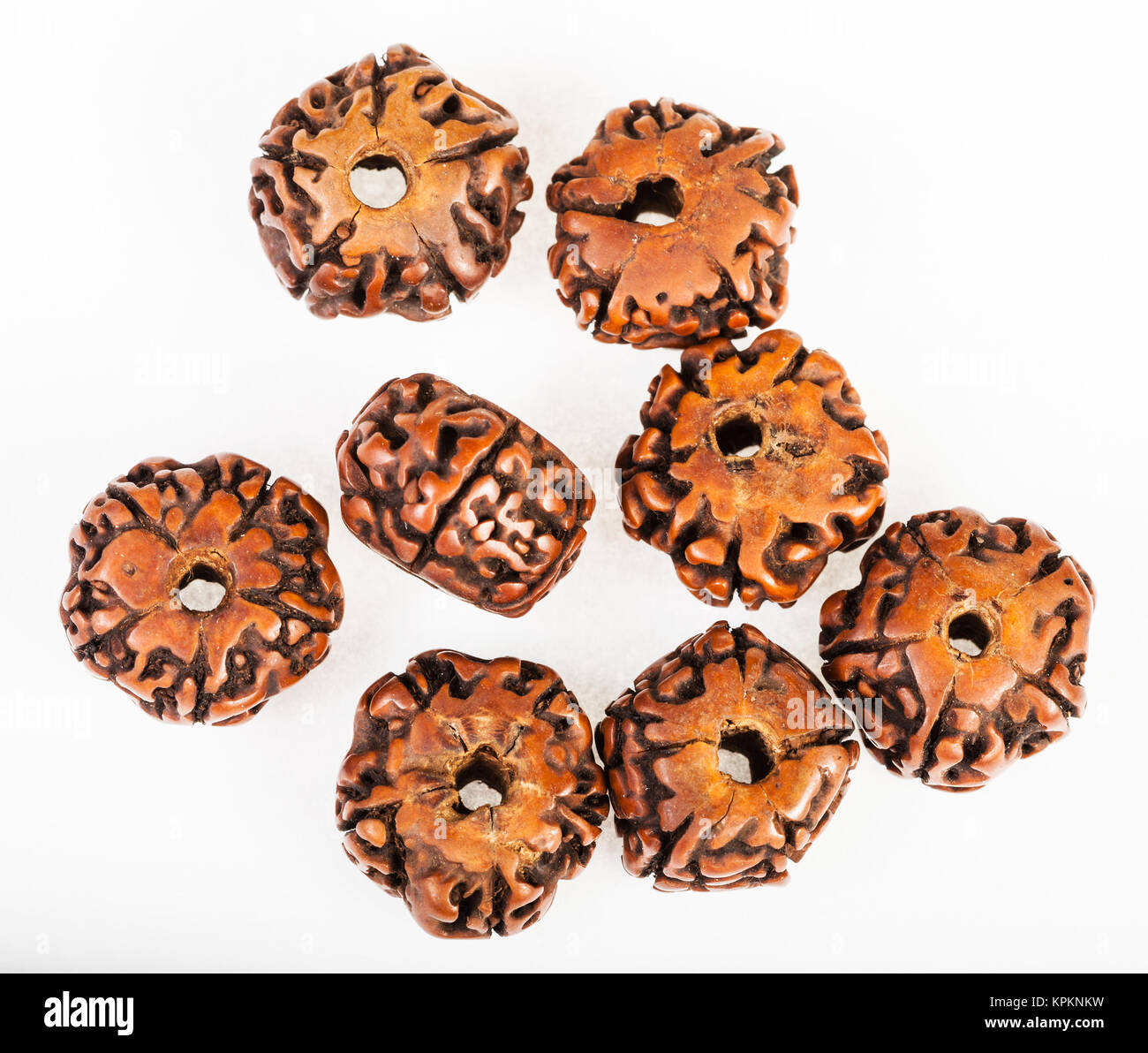 Varie perline di legno da Rudraksha semi di alberi Foto Stock