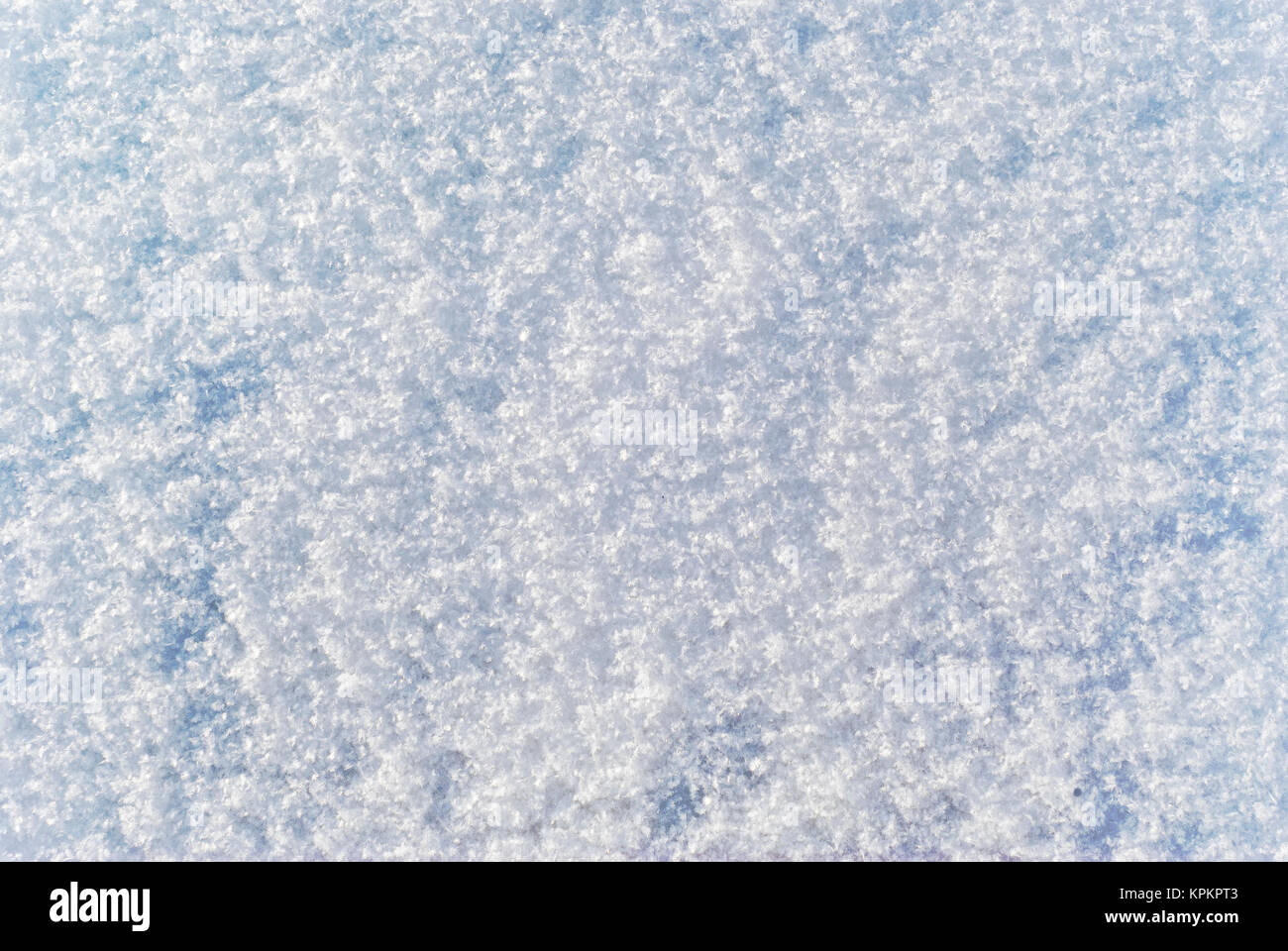 Background e texture: morbido e soffice superficie di fresco di neve caduti con distinguibili i singoli fiocchi di neve Foto Stock