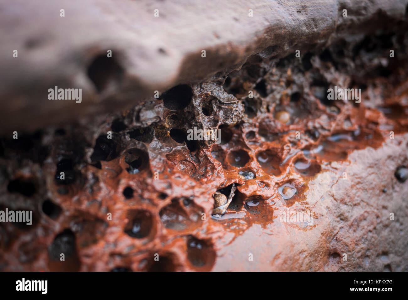 Roccia usurati sulla spiaggia a foro Boggle nel North Yorkshire Foto Stock