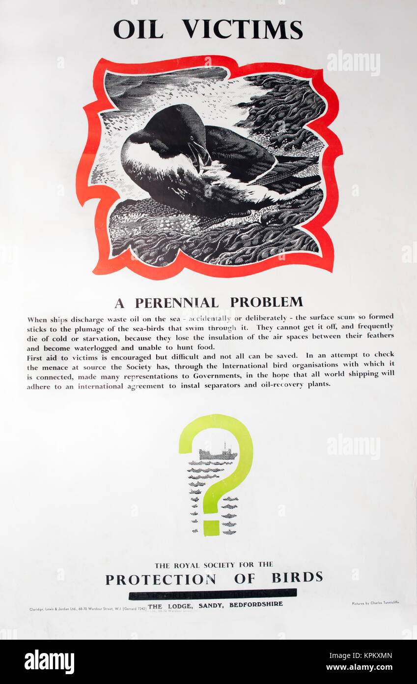 Anni sessanta RSPB poster informazioni circa l'inquinamento da petrolio in un habitat marino-progettato e disegnato da Charles Tunnicliffe Foto Stock