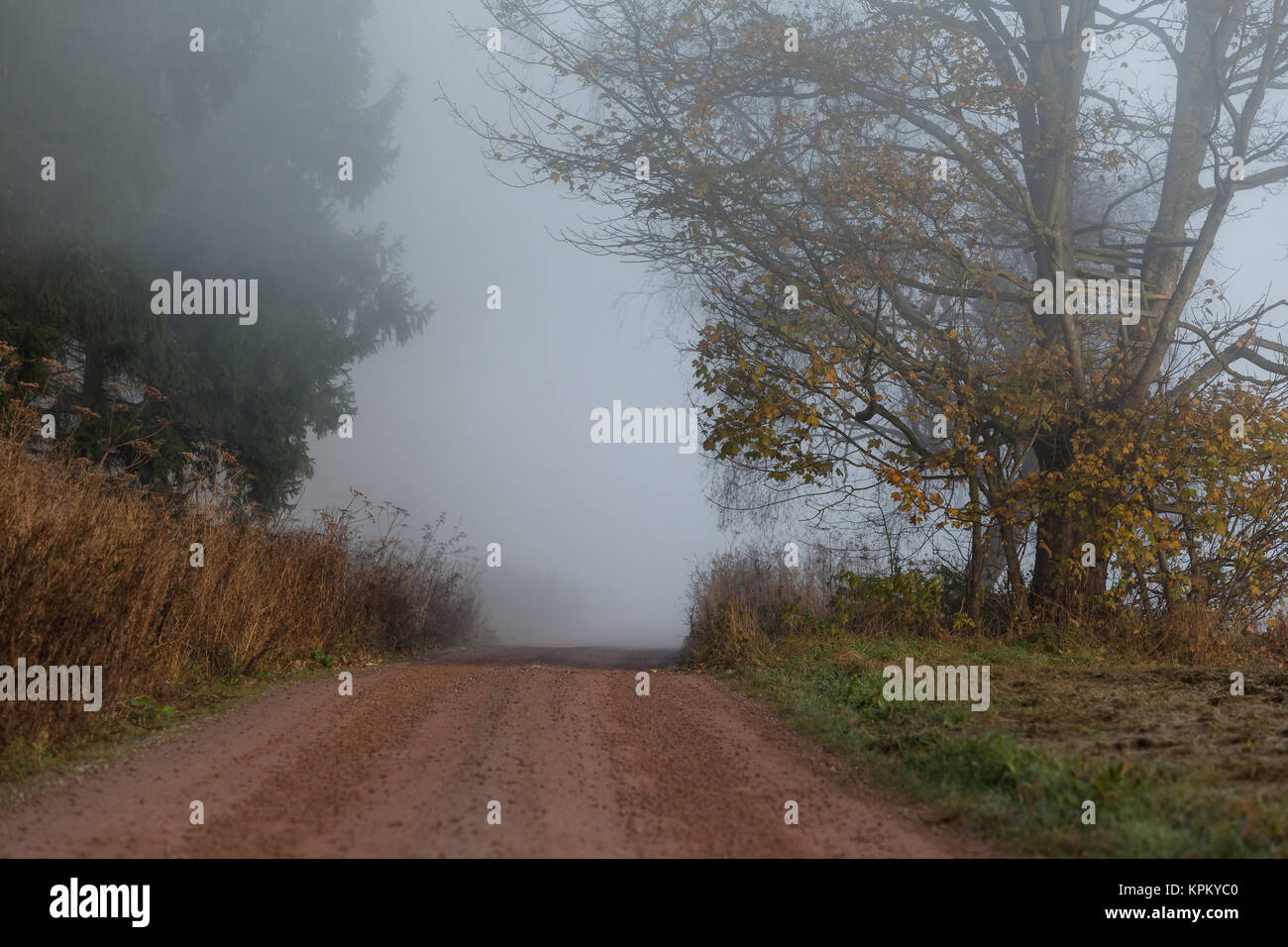 Sentiero escursionistico nella nebbia paesaggio di resina Foto Stock