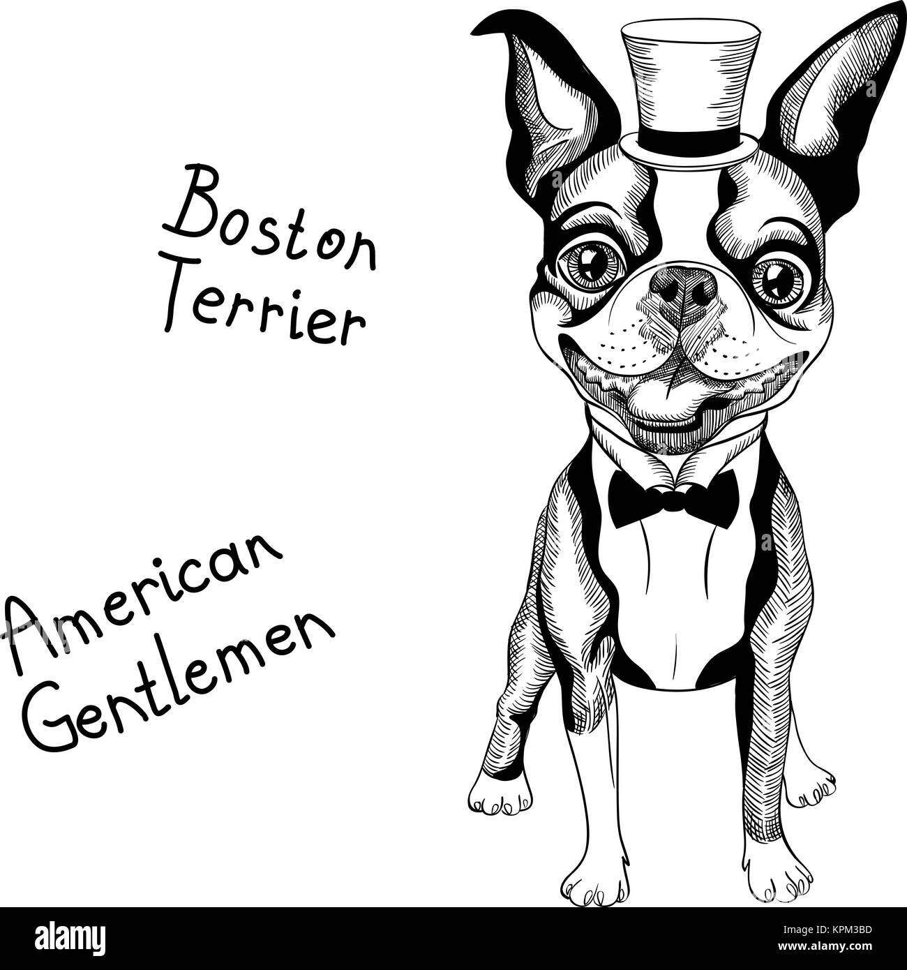 Funny cartoon hipster Boston Terrier razza sorridente Foto Stock