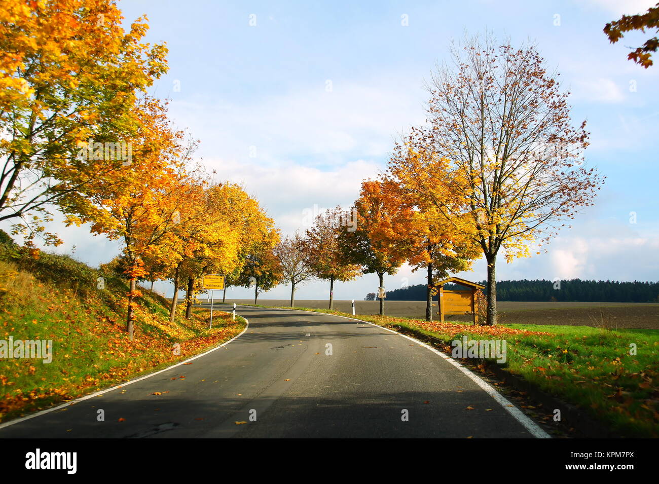 Strassenkurve mit gelb gefärbten Bäumen bei Wahlenau im Hunsrück Foto Stock