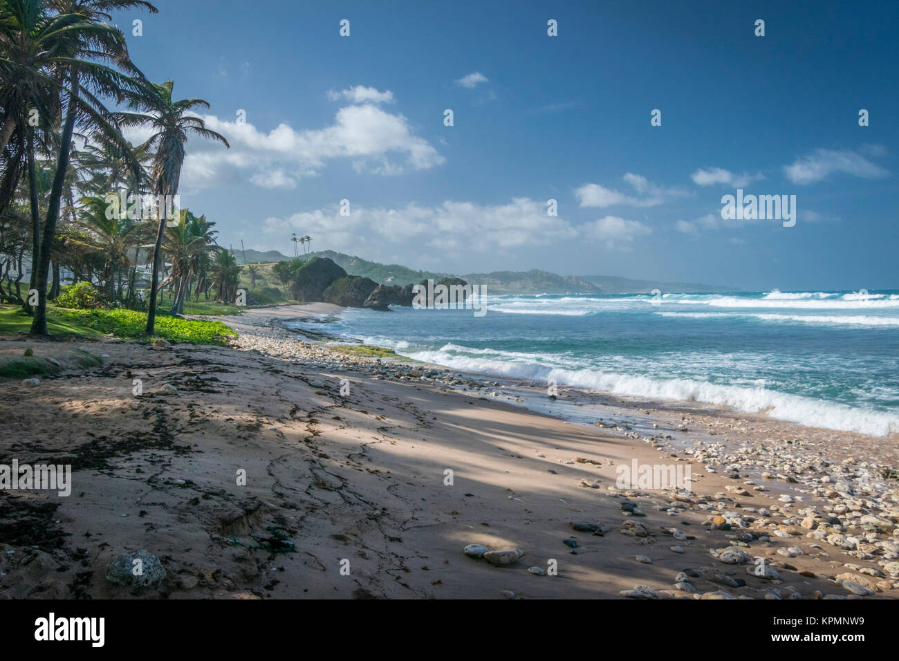 Spiaggia solitaria in Barbados Foto Stock