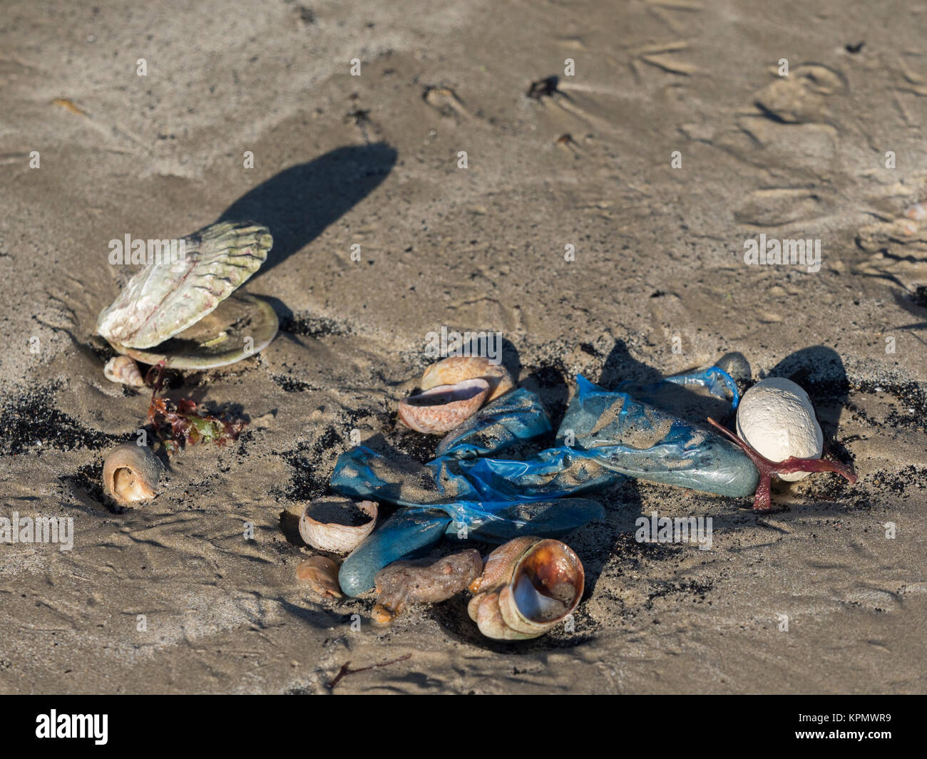 Rifiuti di plastica sulla spiaggia Foto Stock