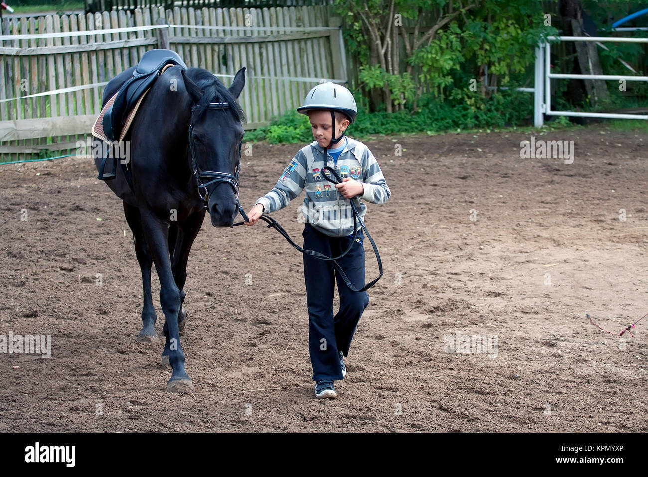 Ragazzo con un cavallo Foto Stock
