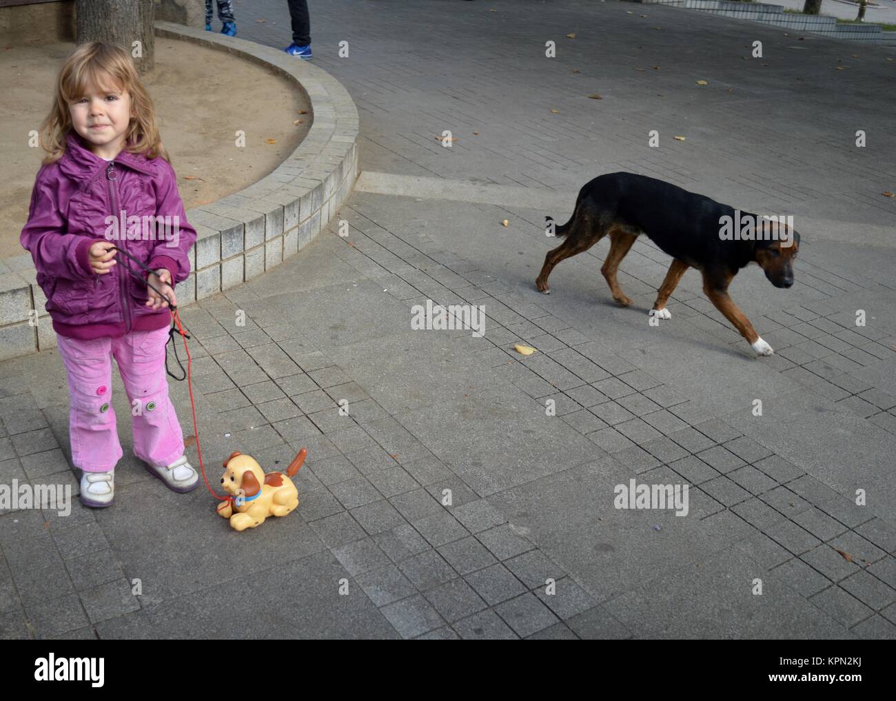 Una ragazza con un cane giocattolo e un cane vivo Foto Stock