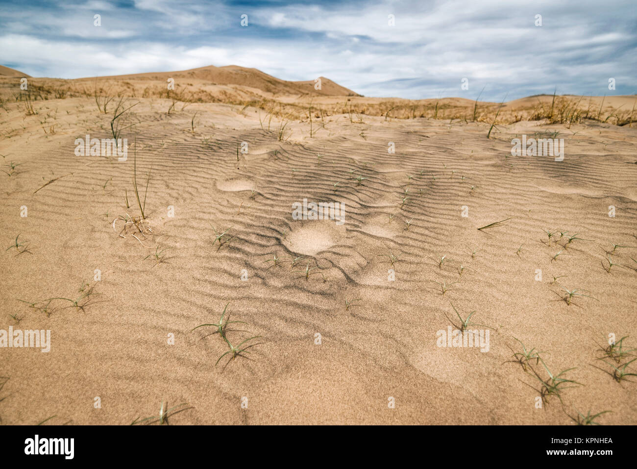Deserto Mojave, California Foto Stock