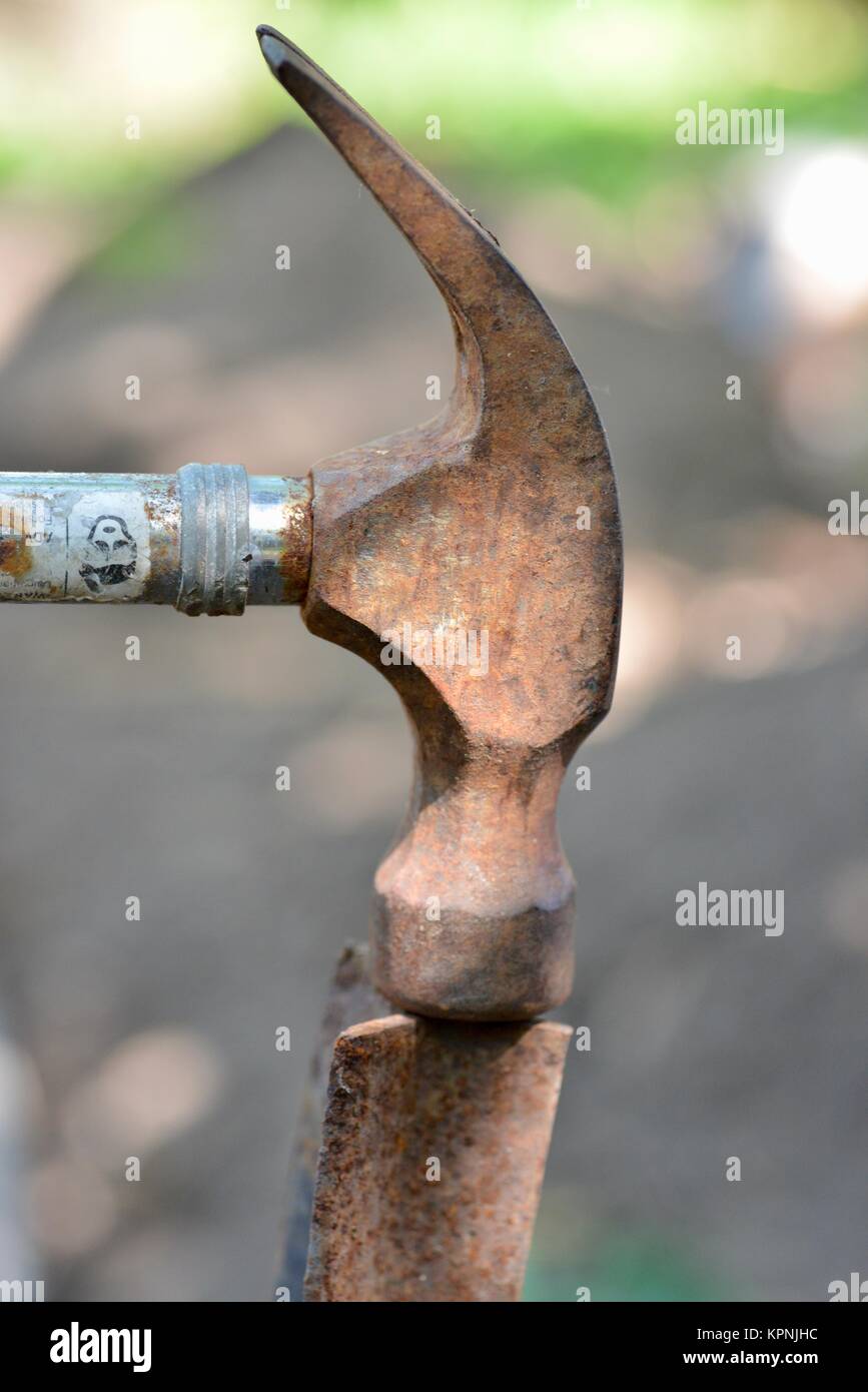 Passo dopo passo serie per la posa di tubi di irrigazione per una casa giardino, usando 19 mm polypipe, Townsville, Queensland, Australia Foto Stock