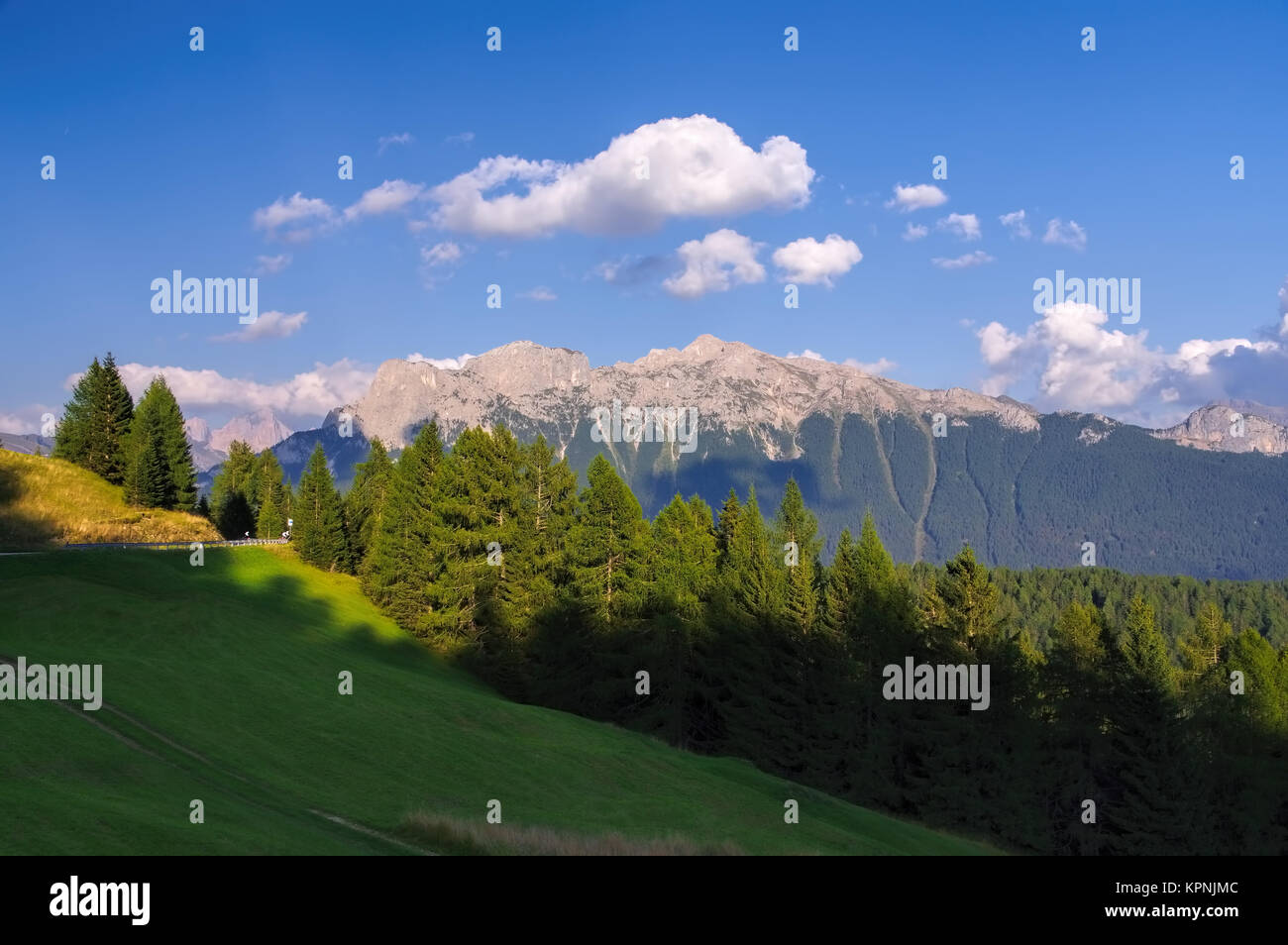 Monzonikamm - la cima di undici e la val di fassa Foto Stock