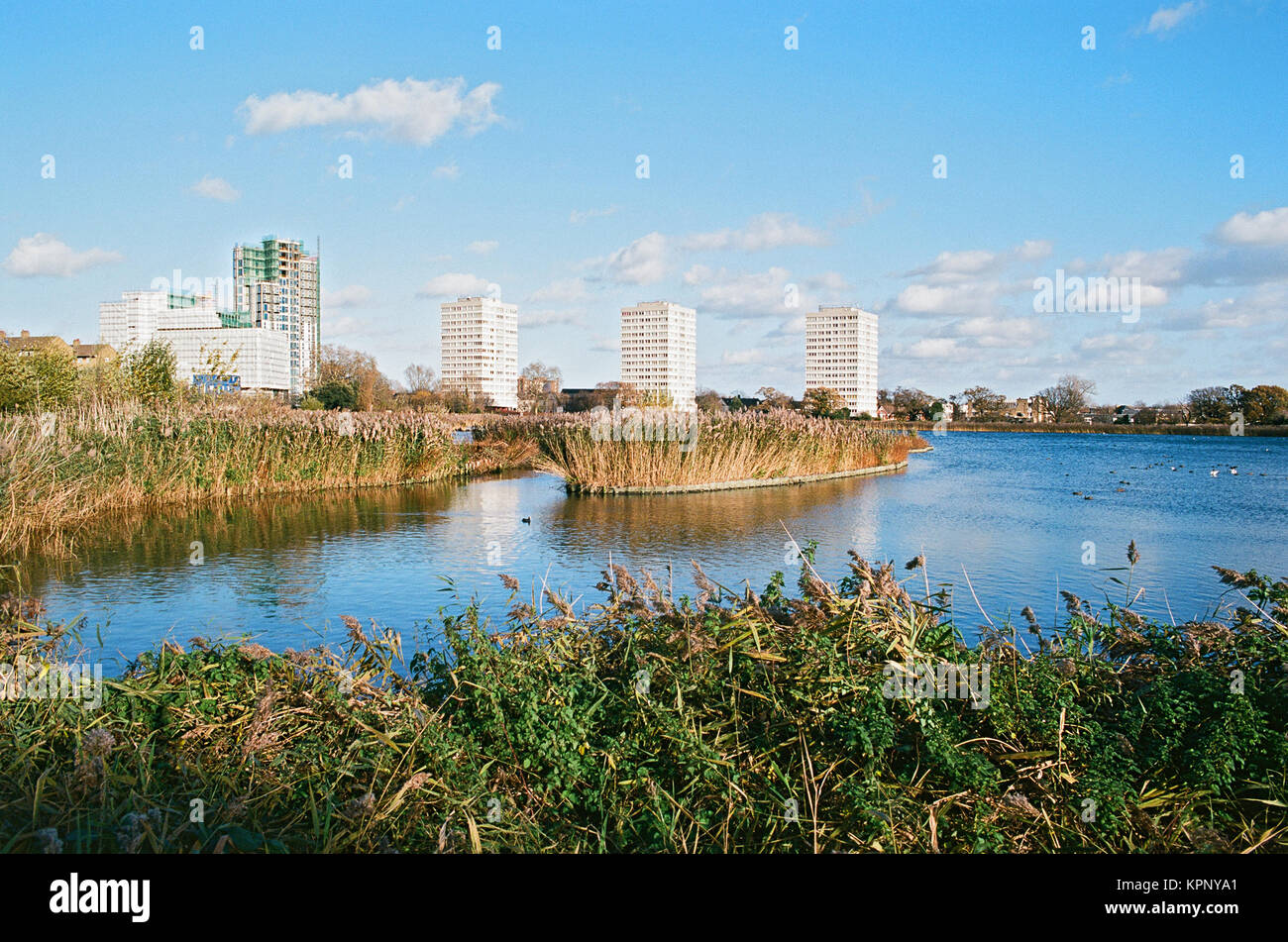 Woodberry Zone Umide Riserva Naturale, Stoke Newington, North London REGNO UNITO Foto Stock