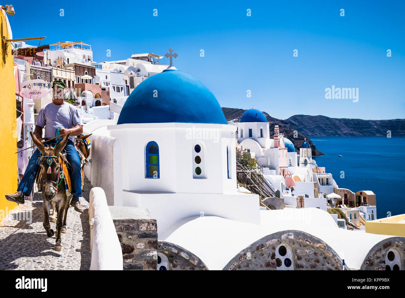 SANTORINI, Grecia - 16 Giugno 2016 : Gli asini per il trasporto dei turisti dal porto alla città di Fira il 16 giugno 2016, situato sulla parte superiore della mounta Foto Stock