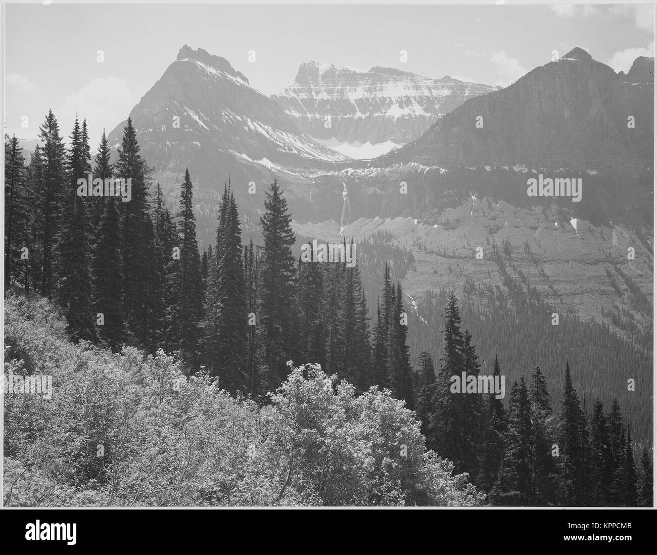 Gli alberi e i cespugli in primo piano le montagne sullo sfondo "nel Glacier National Park' Montana. 1933 - 1942 Foto Stock