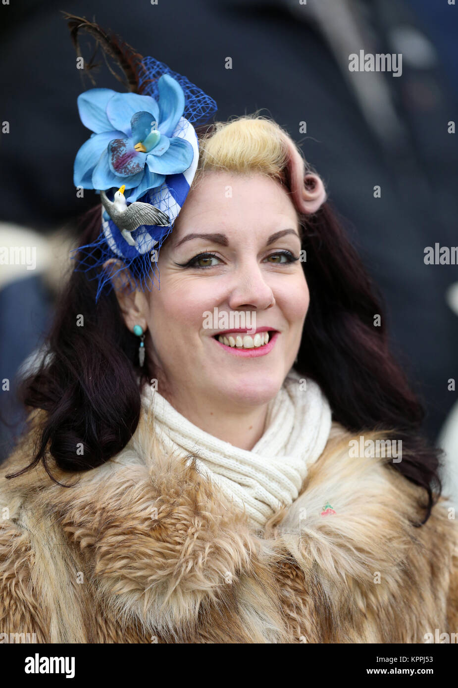 A Brighton e Hove Albion sostenitore in stand durante il match di Premier League al AMEX Stadium, Brighton. Foto Stock