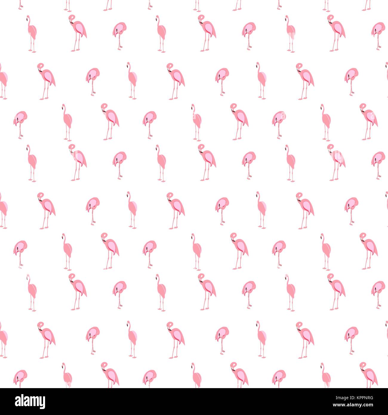 Colorato fenicottero rosa isolato su sfondo bianco. Seamless pa Illustrazione Vettoriale