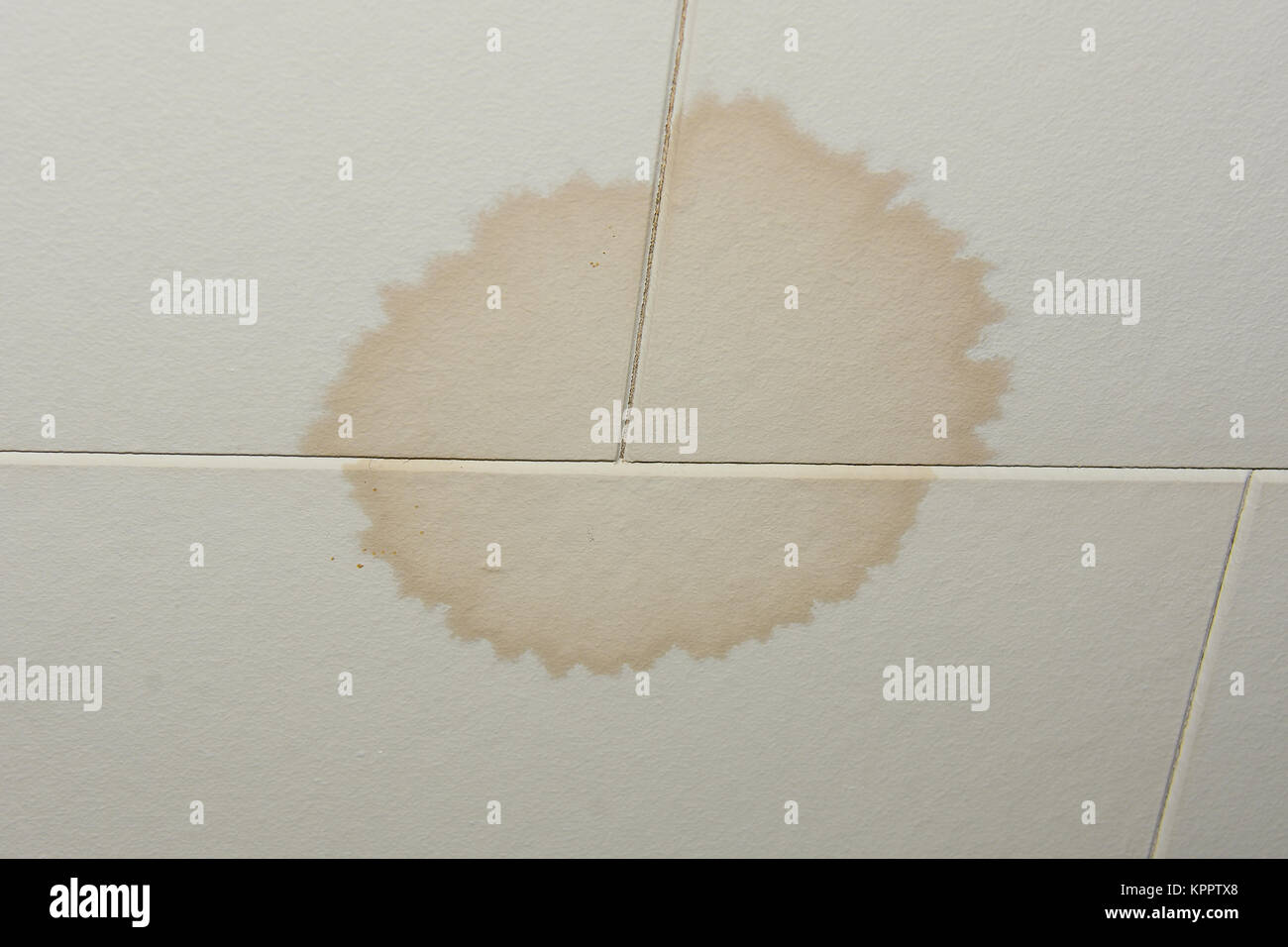 Acqua colorata da soffitto da un tetto che perde. Foto Stock