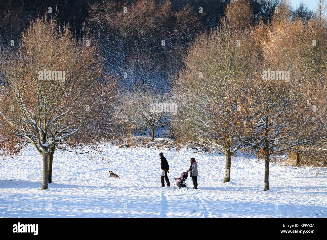 La famiglia passeggiate nella neve Foto Stock