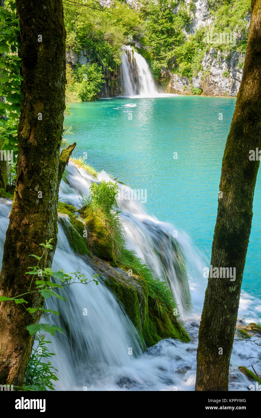 Il Parco Nazionale dei Laghi di Plitvice, Croazia Foto Stock