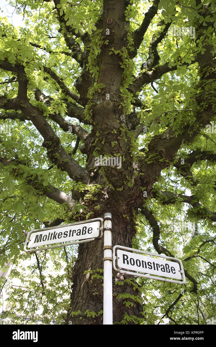 Germania, Wuppertal, cartelli stradali nel quartiere Brill. Deutschland, Wuppertal, Strassenschilder im Stadtteil Brill. Foto Stock