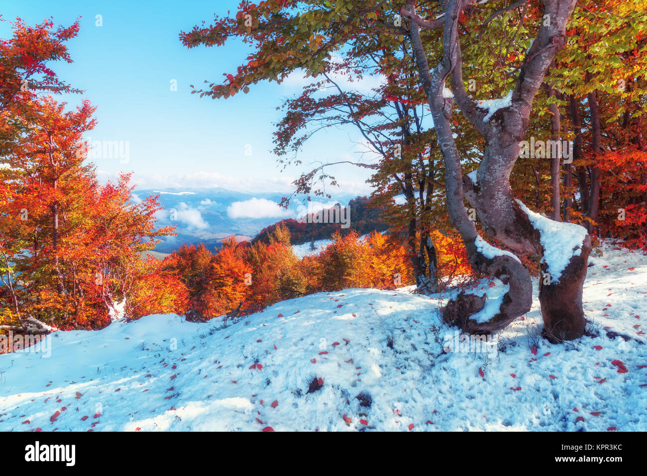 Prima neve nelle montagne dei Carpazi Foto Stock