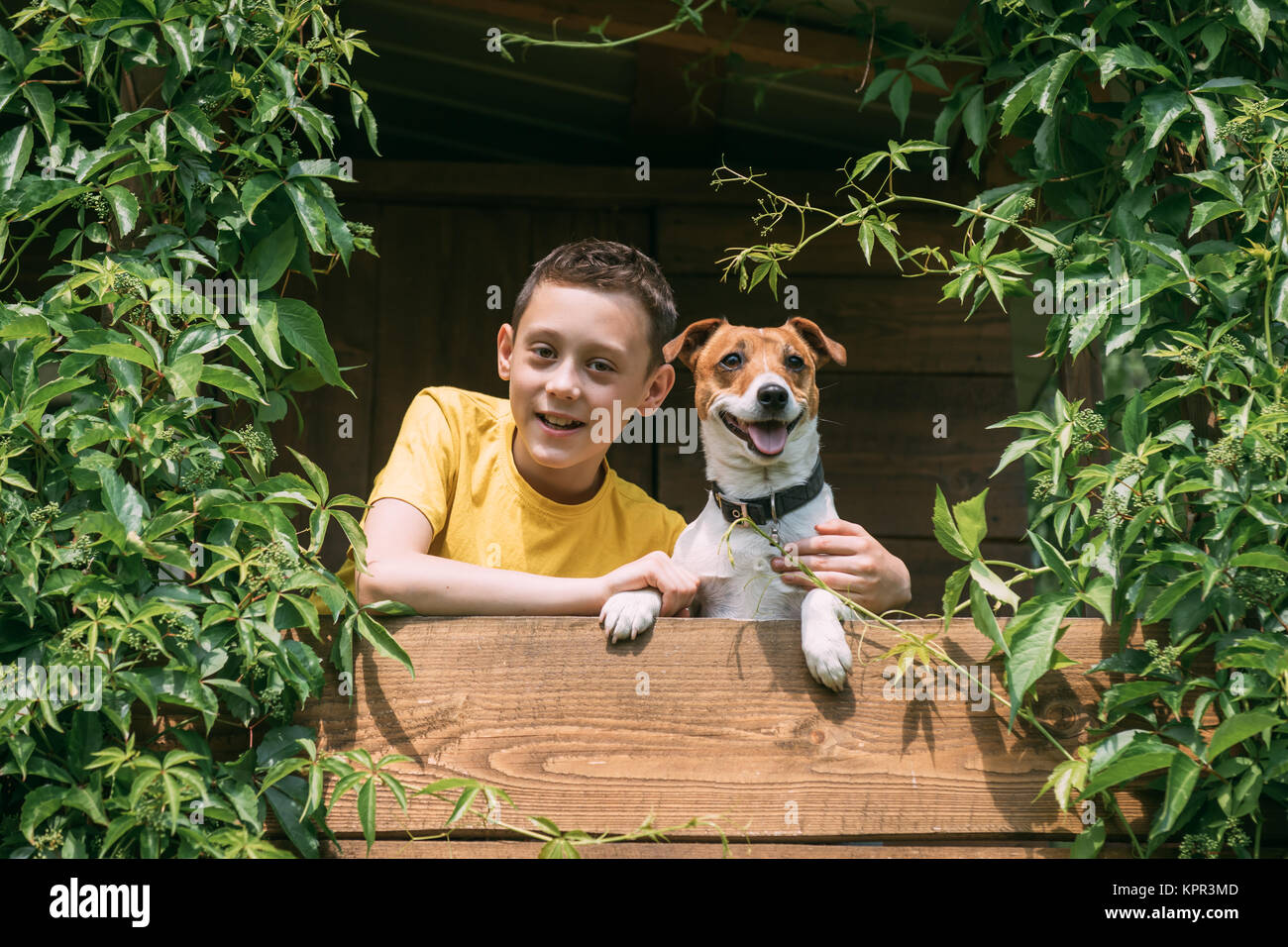 Ragazzo sorridente con il cane su treehouse Foto Stock