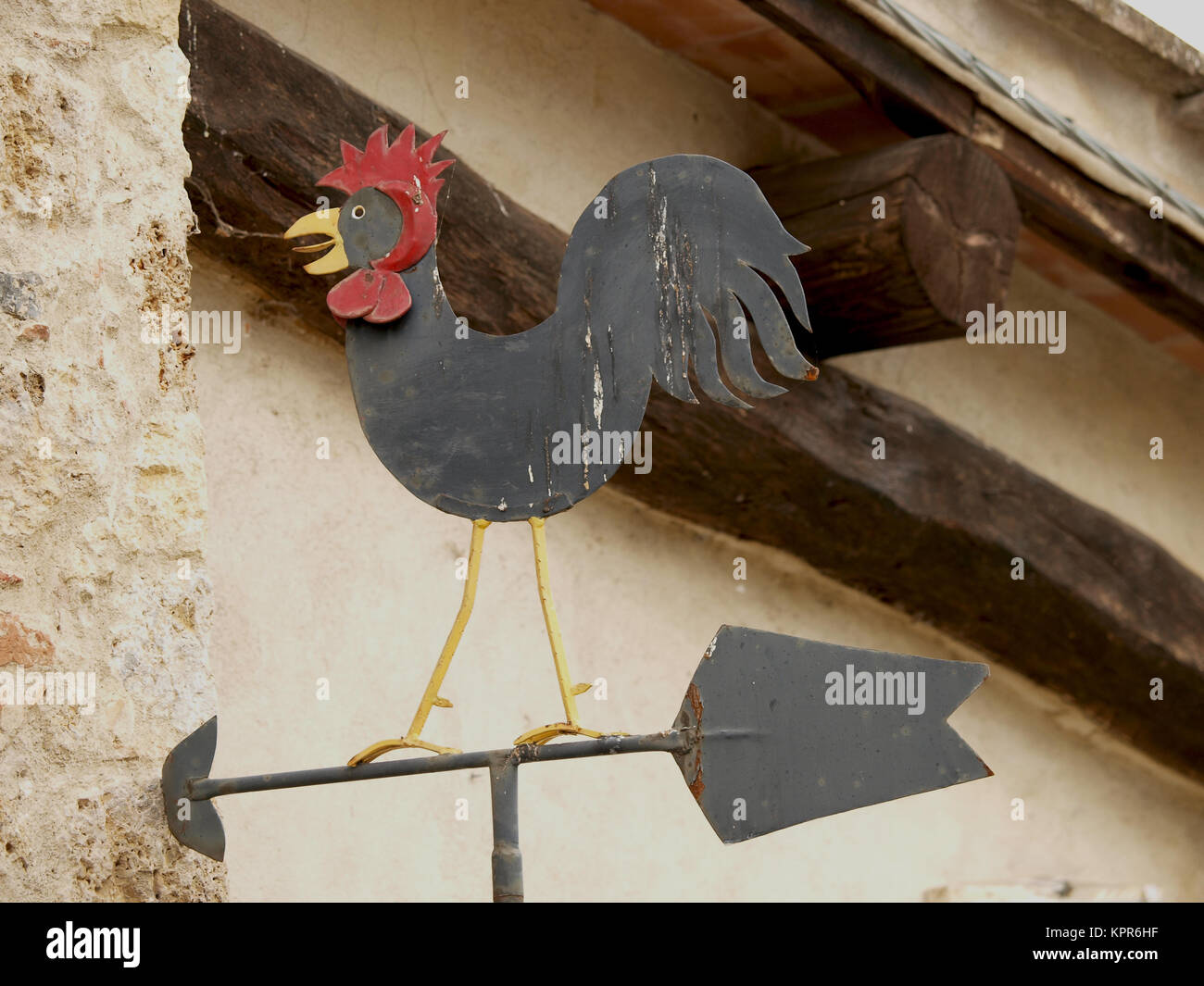 Gallo nero simbolo di buon vino in Toscana Foto Stock