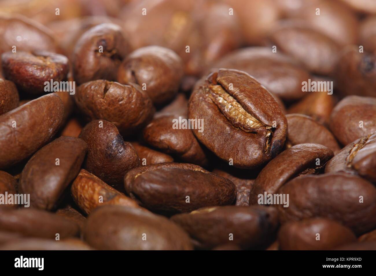 closeup di chicchi di caffè appena tostati Foto Stock