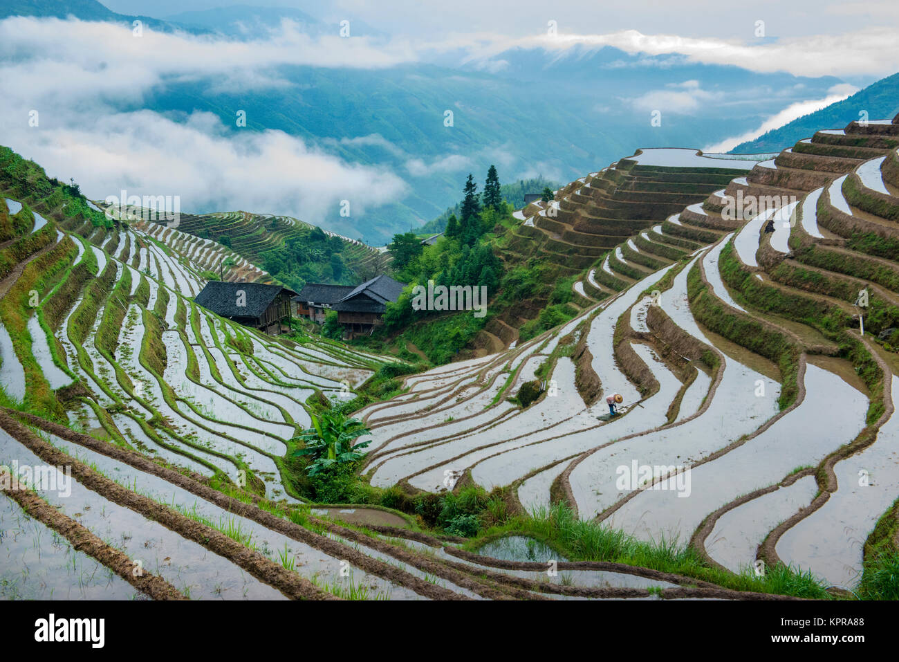 Bella vista delle risaie del quartiere di Guilin in Cina, mentre il sole si alza e si riflette sull'acqua Foto Stock