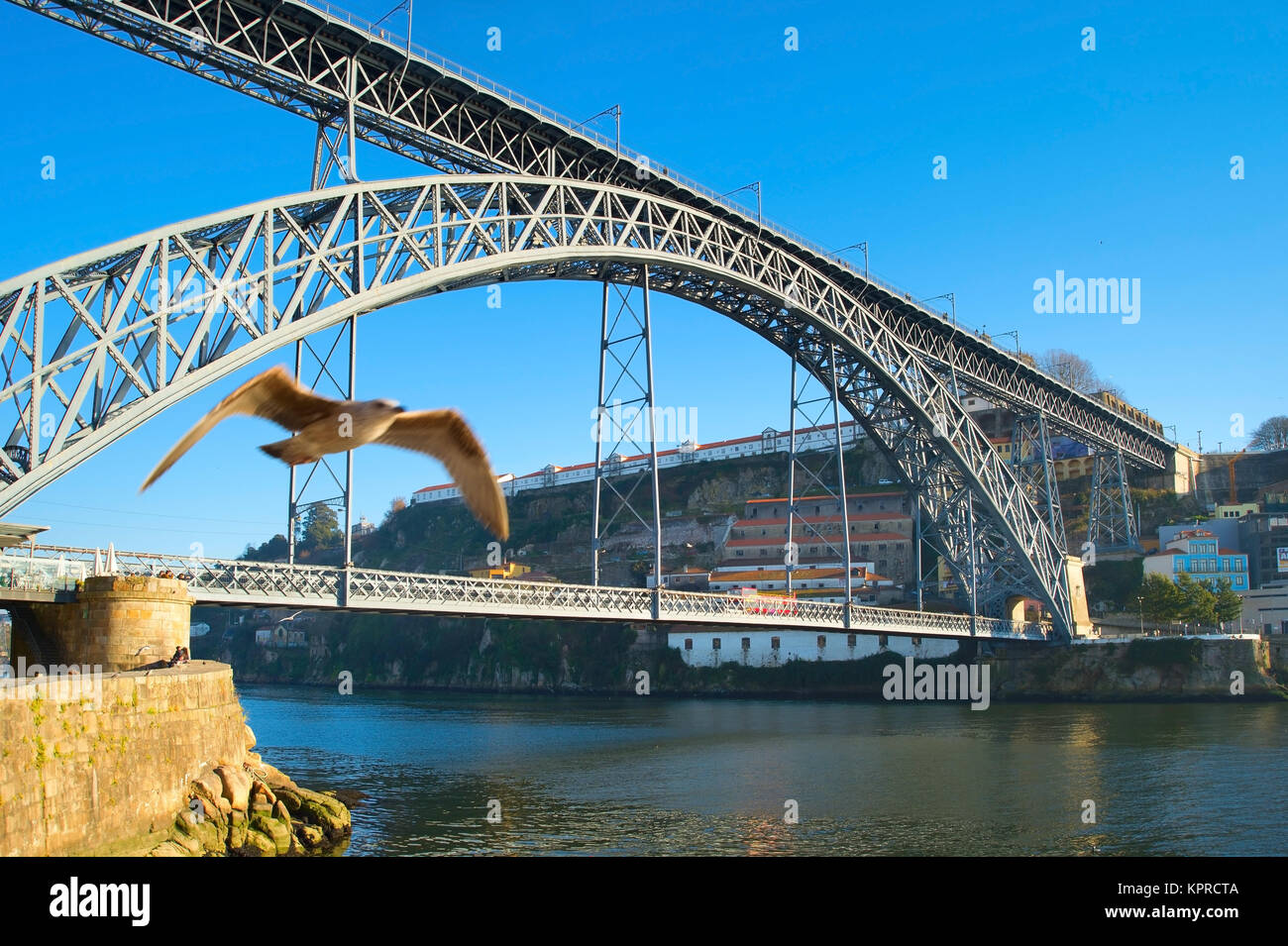 Dom Luis I Bridge, Portogallo Foto Stock