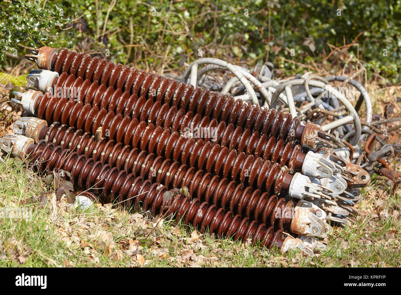 Energia elettrica - isolatori ad alta tensione Foto Stock