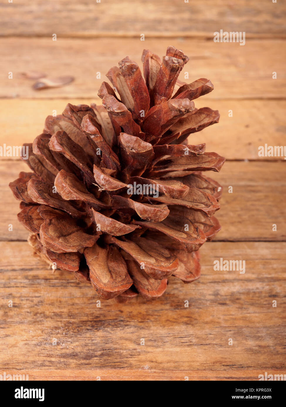 Pino cono su un tavolo di legno. Foto Stock