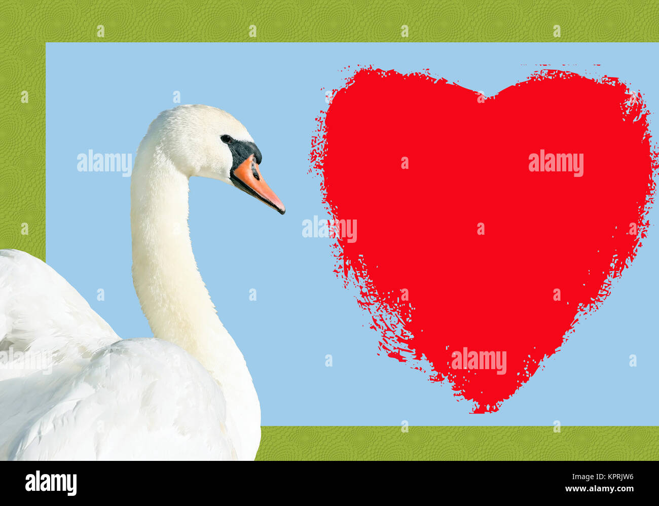 Bella Swan con un cuore di San Valentino sfondo Foto Stock