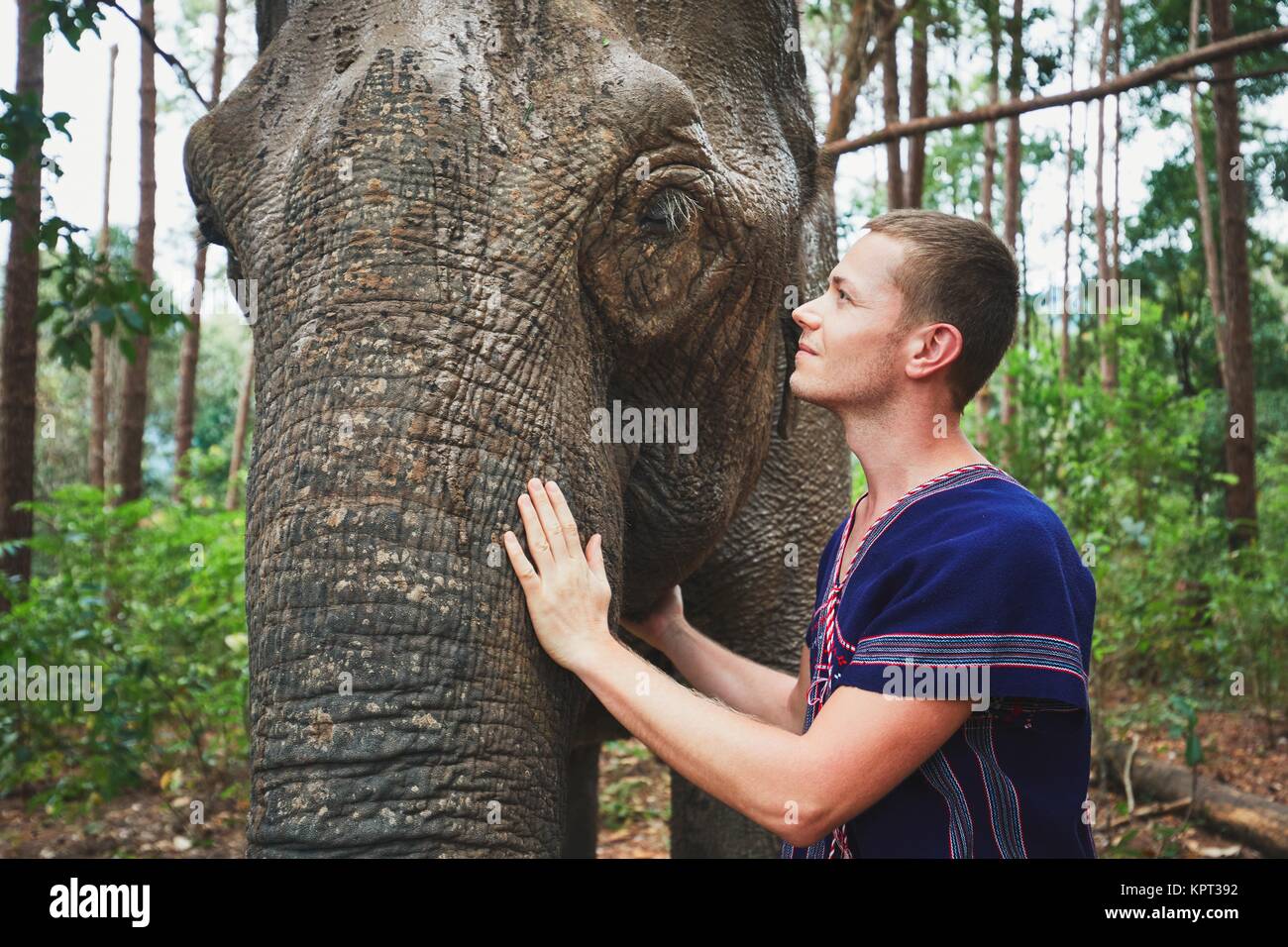 Faccia a faccia. Giovane viaggiatore con cordiale elefante nella foresta pluviale tropicale in Chiang Mai Provincia, Thailandia. Foto Stock