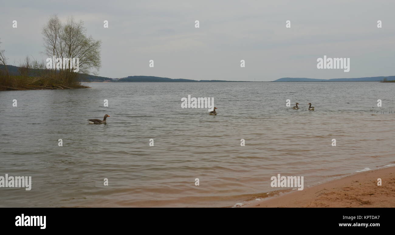 Nel mese di aprile al Brombachsee Foto Stock