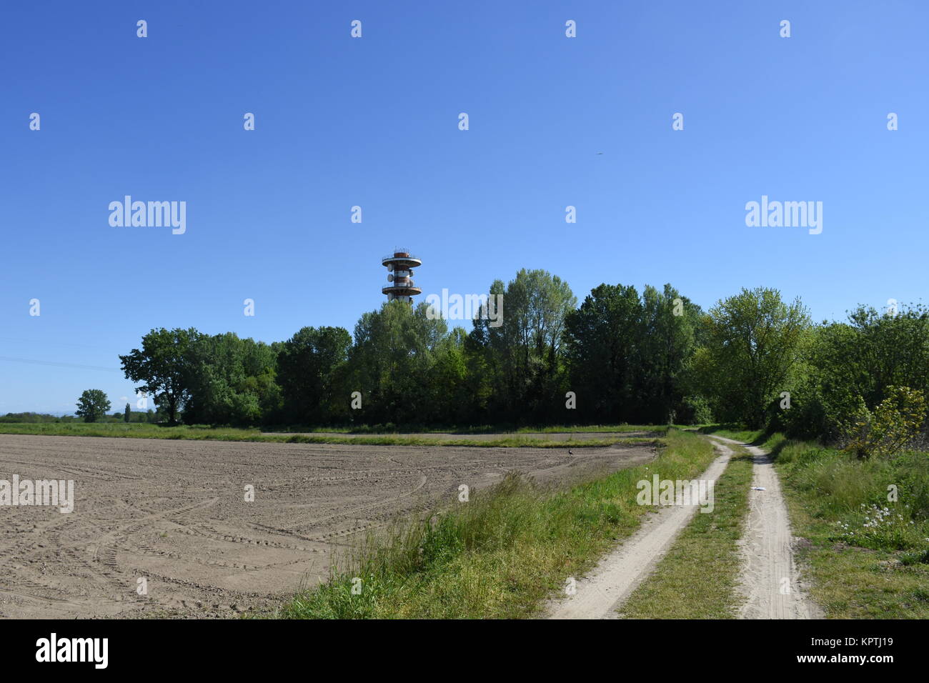 Â madonna della bozzola,torre d'acqua,torre,infrastruttura,foresta,campo,agricoltura,percorso Foto Stock
