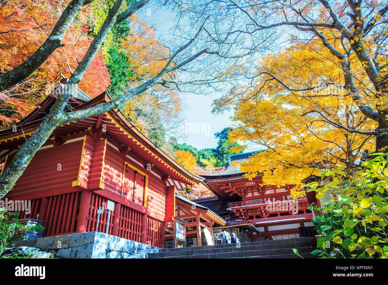 Nara, Giappone - 27 Novembre 2013: Tanzan santuario , noto anche come il Santuario Danzan, è un santuario shintoista in Sakurai, Prefettura di Nara, Giappone Foto Stock