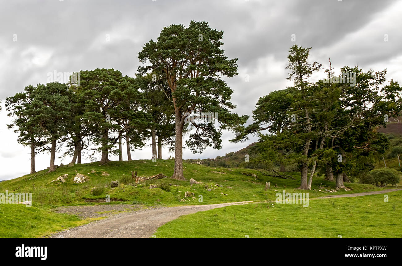 Il fittizio Craigh na dun, pietre permanente da amazon primes tv show Outlander. Foto Stock