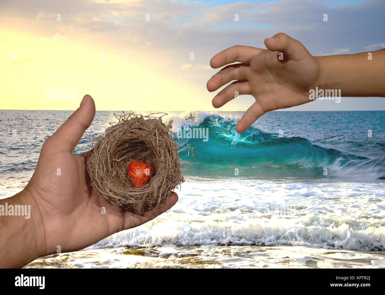 Le mani umane mantenere un nido naturale con un cuore rosso interno e un bambino cerca di raggiungere questo nido. I legami familiari, protezione, sicurezza, di speranza, di solidarietà. Foto Stock