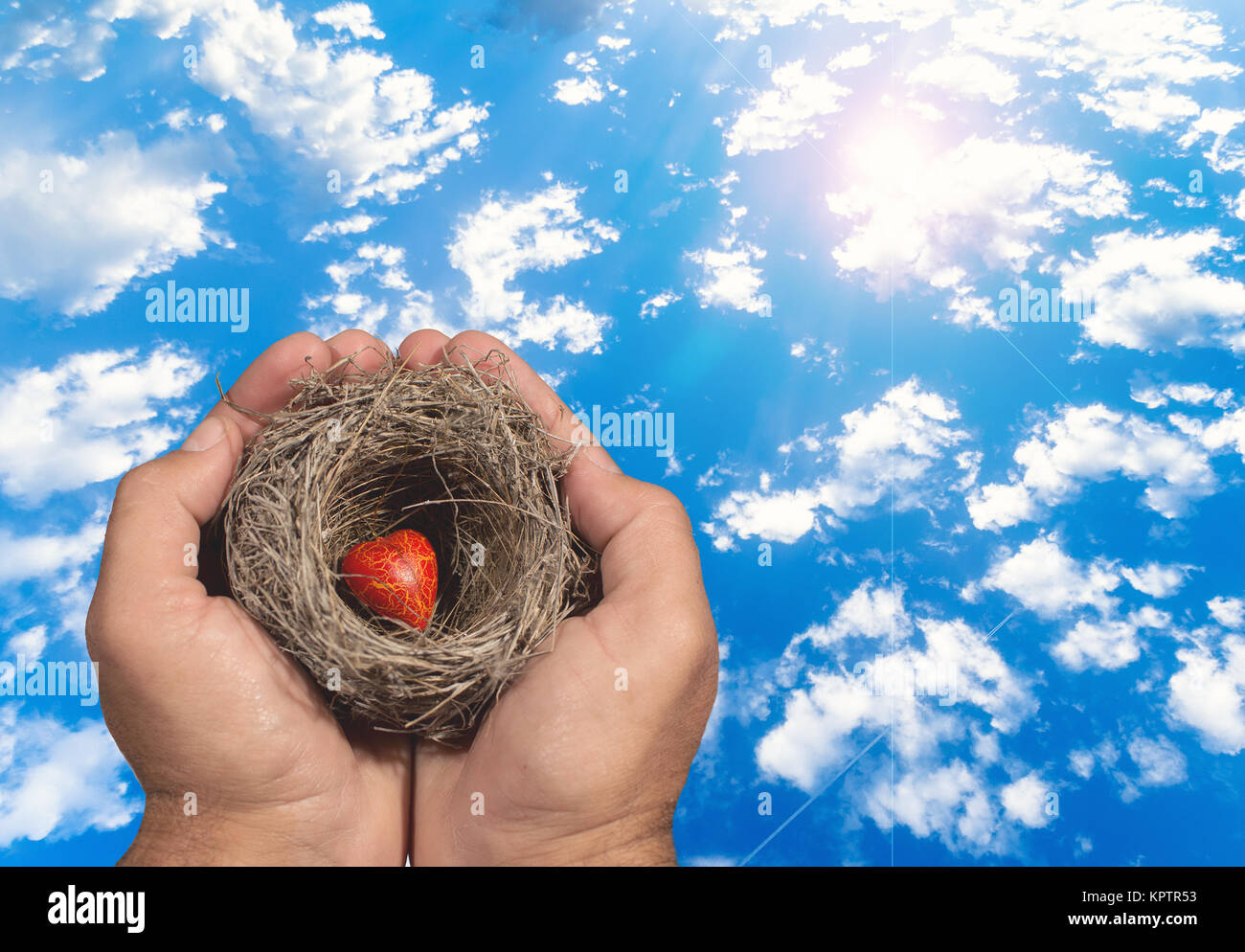 Le mani umane mantenere un nido naturale con un cuore rosso interno e un bambino cerca di raggiungere questo nido. I legami familiari, protezione, sicurezza, di speranza, di solidarietà. Foto Stock