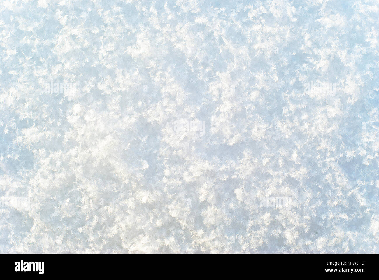Background e texture - una superficie bianca lucida di fresco di neve caduti, costituito da singoli distinguibili i fiocchi di neve Foto Stock