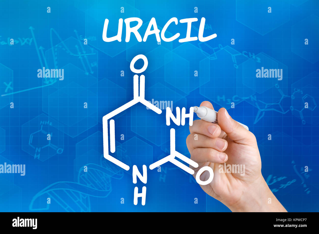 Mano con una matita disegna chimica formula strutturale di uracile Foto Stock