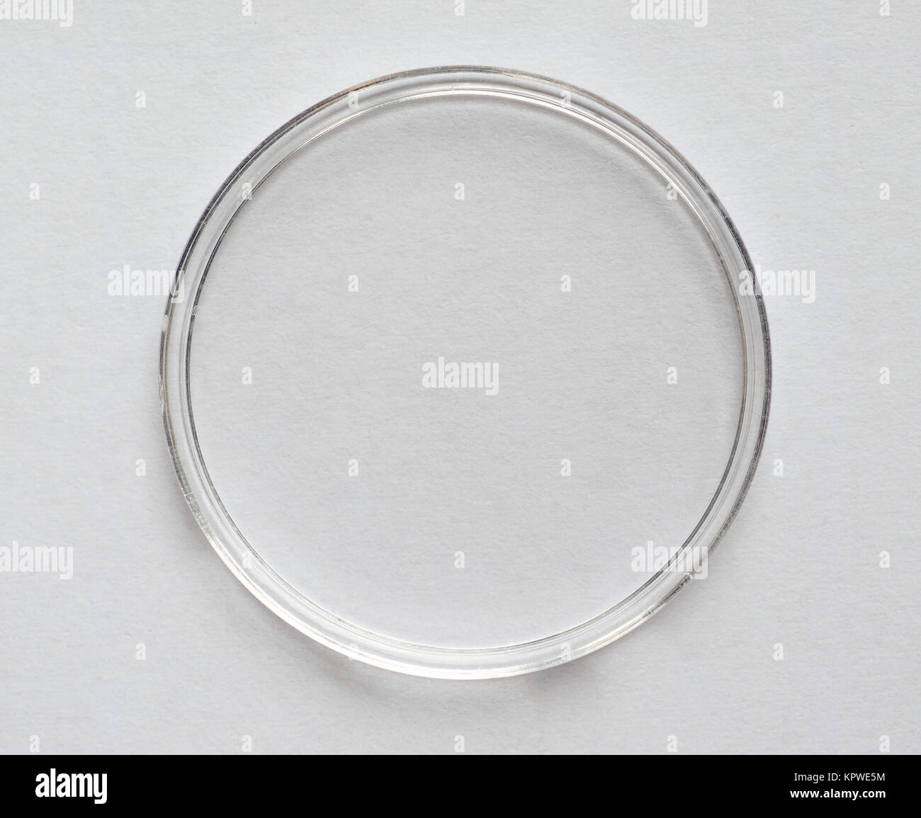 Piastra di Petri per coltura cellulare Foto Stock