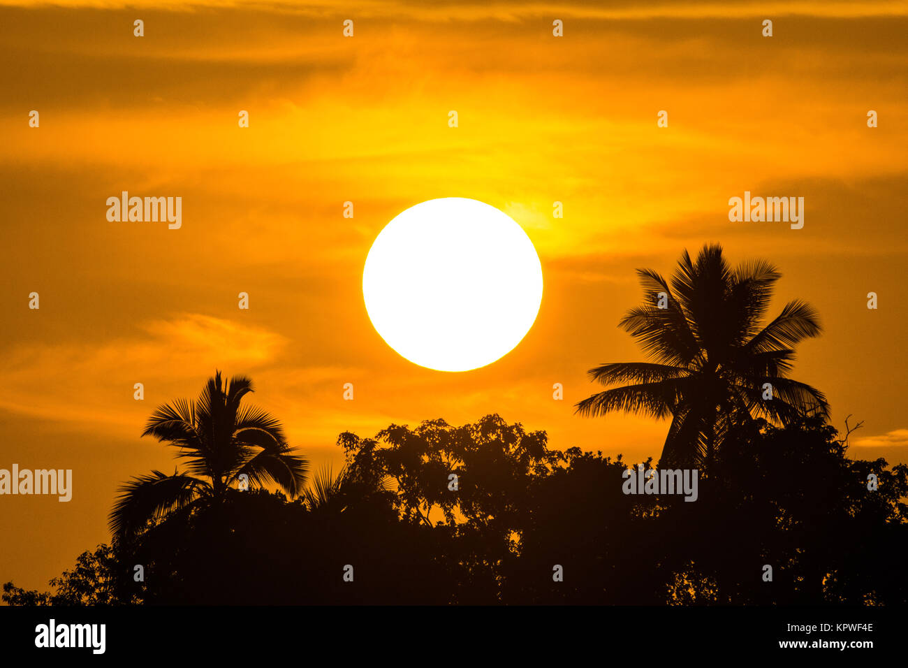 Tramonto in Srilanka Foto Stock