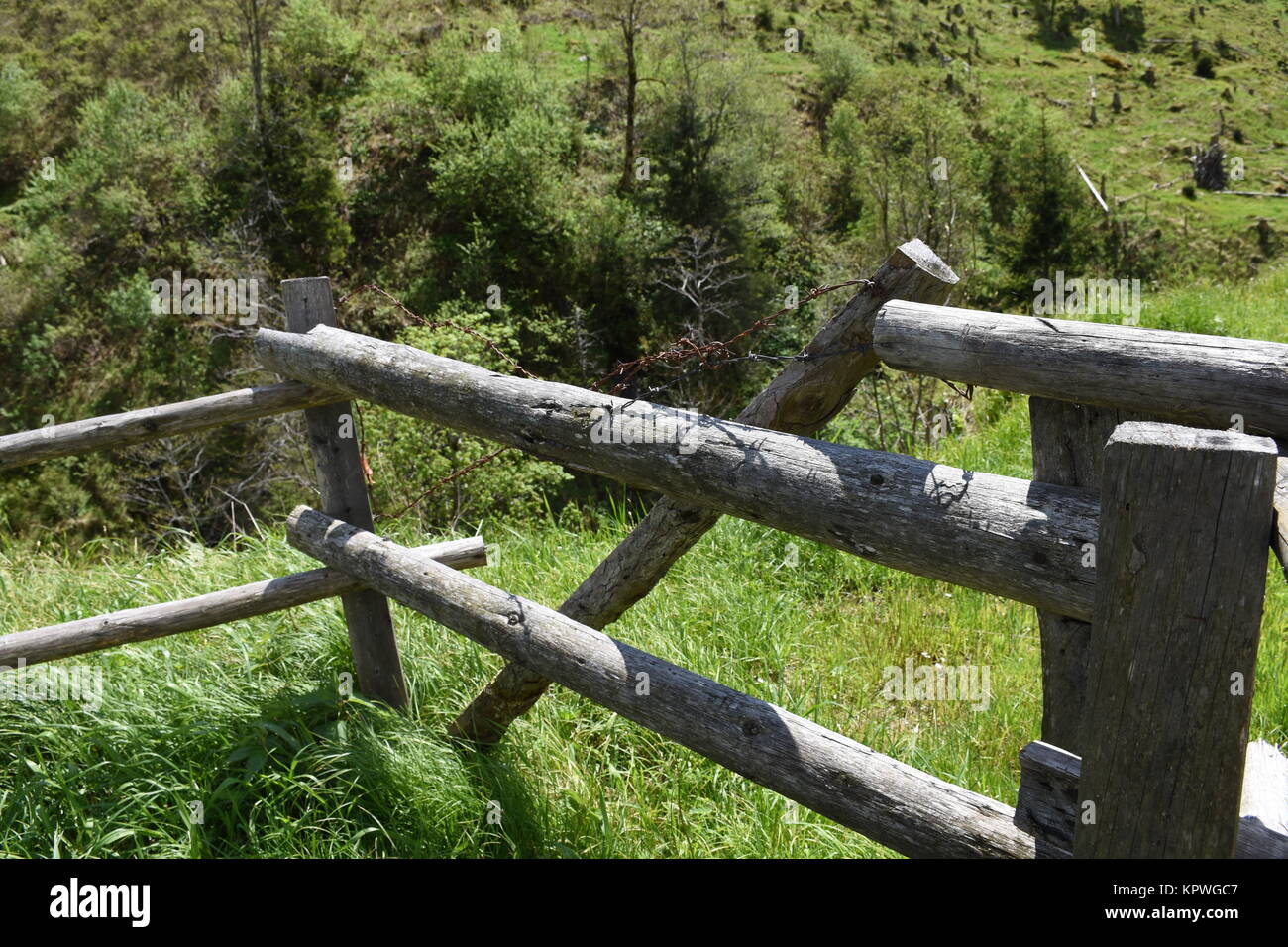 VOSS.farming Elettrificatore Impuls Duo DV120 12 V/230 V Per Recinto Elettrico, Recinzioni Da