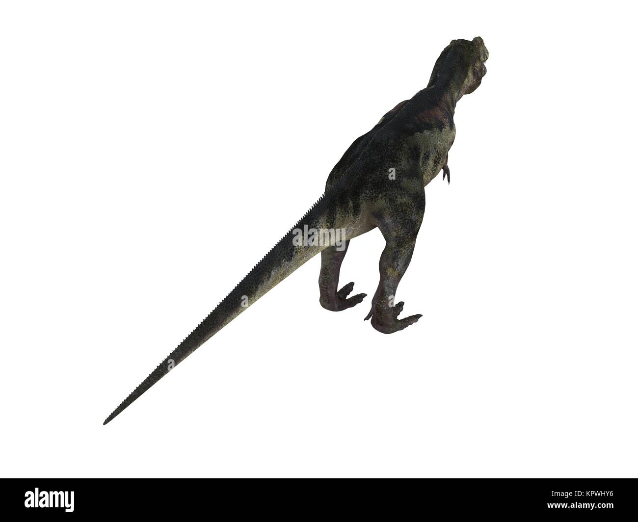 3D render di un dinosauro dentro un palcoscenico bianco Foto Stock