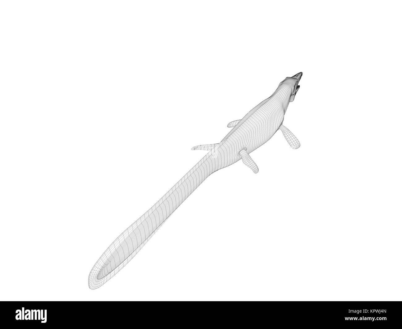 3d coccodrillo wireframe Foto Stock