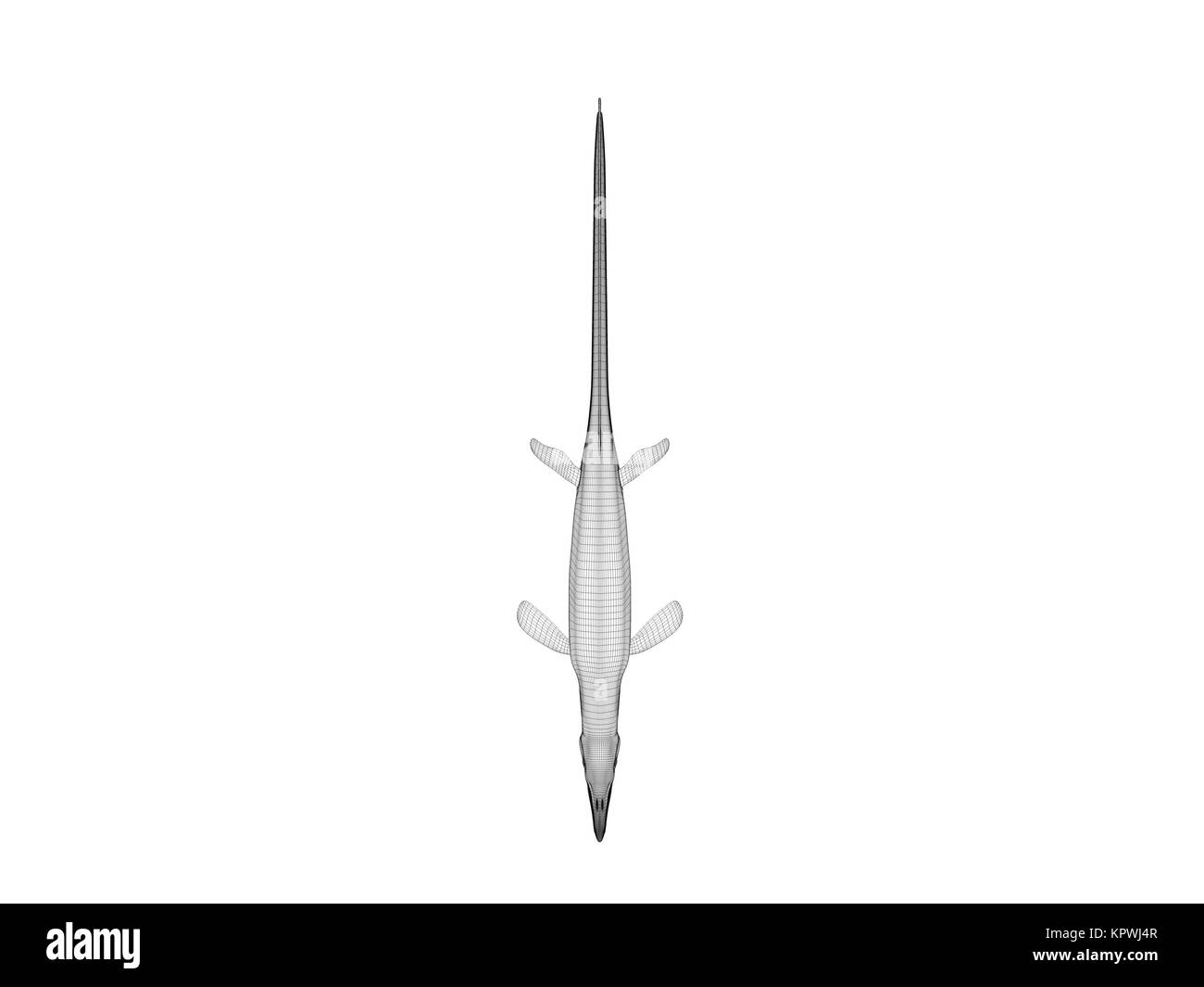 3d coccodrillo wireframe Foto Stock