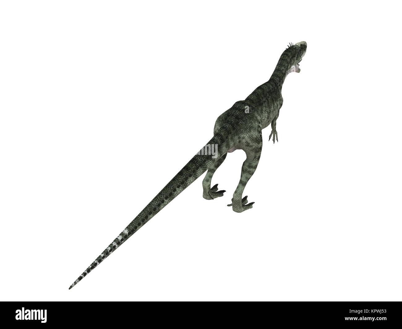 3D render di un dinosauro dentro un palcoscenico bianco Foto Stock